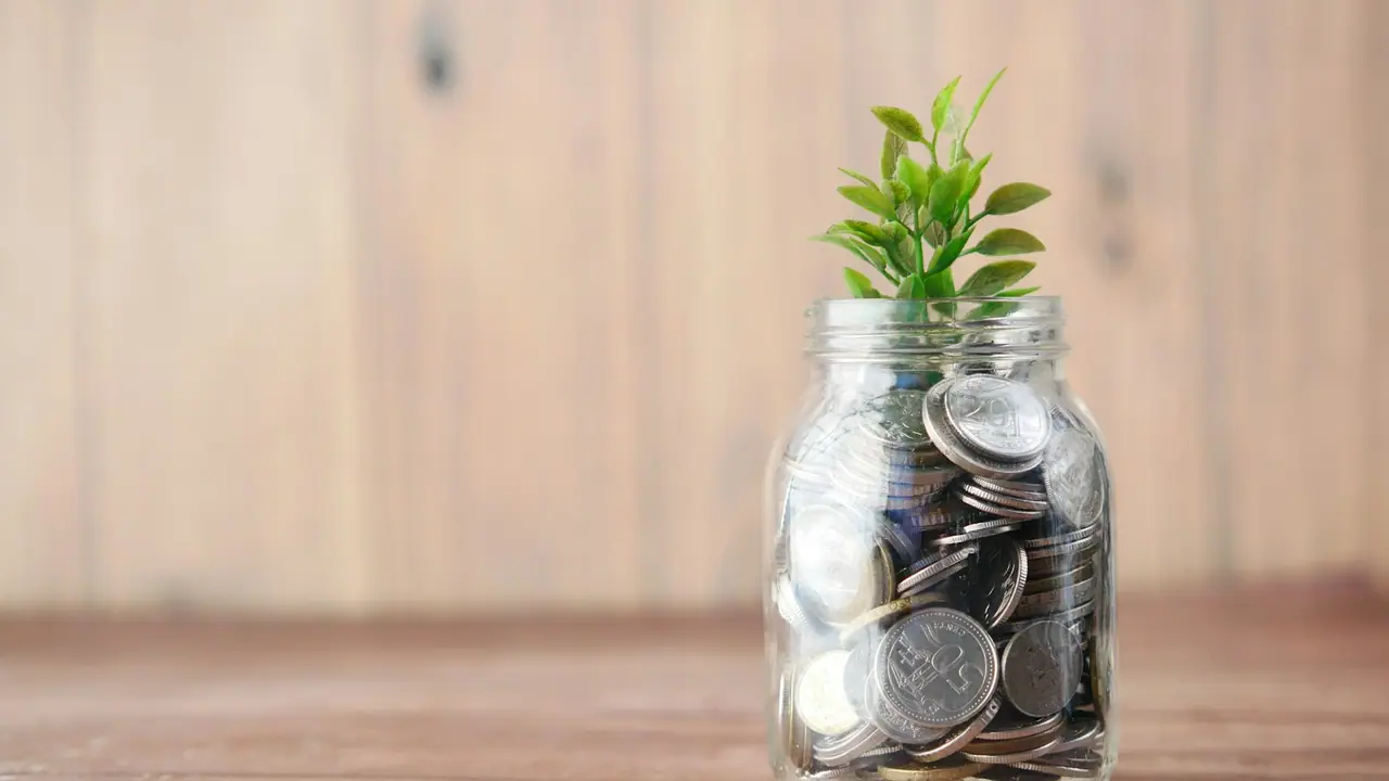 Tarro de cristal lleno de monedas con una planta que brota