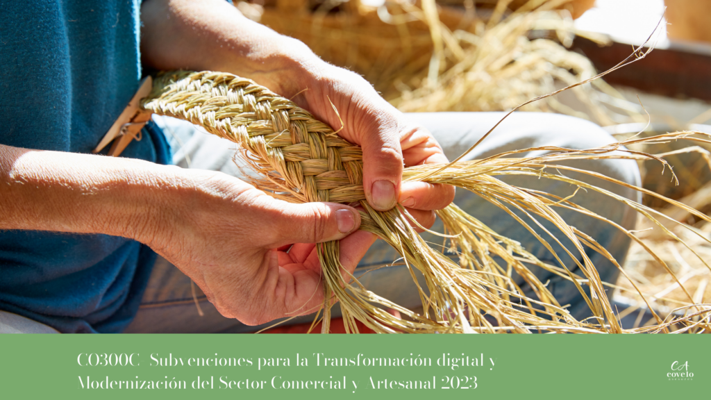 Subvenciones para la Transformación digital y Modernización del Sector Comercial y Artesanal 2023